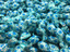 Bonbons Menthi