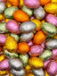 Assortment of traditional chocolates