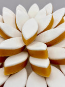 Il était une fois... le Calisson de Provence