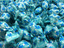 Bonbons Menthi