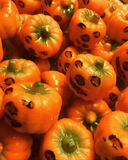 Citrouilles en pâte d'amandes