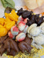 Fritures de Pâques en chocolat