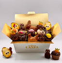 Assortimento di cioccolatini tradizionali