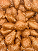 Assortimento di cioccolatini tradizionali