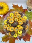 Assortiment de citrouilles d'Halloween en chocolat