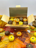 Assortiment de citrouilles d'Halloween en chocolat